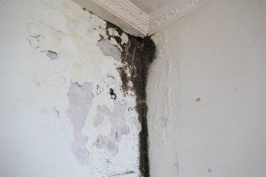 Soyut taş duvar dokusu