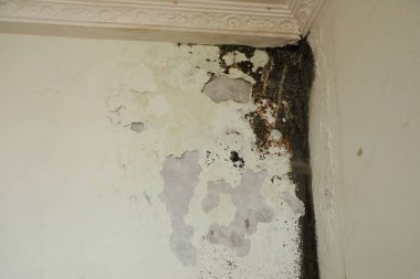 Soyut taş duvar dokusu