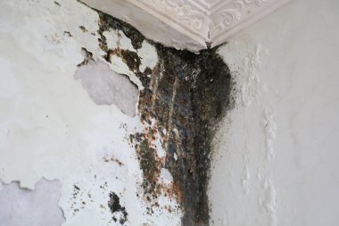 Soyut taş duvar dokusu