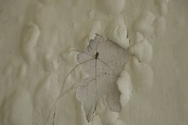 Soyut taş duvar dokusu