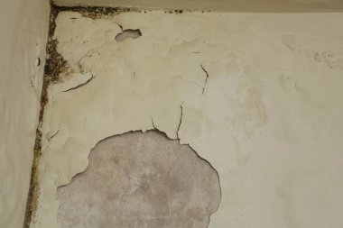 Soyut taş duvar dokusu