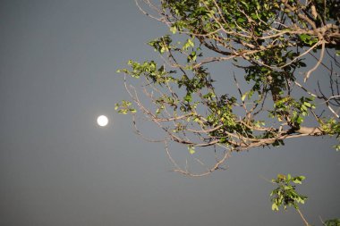 Gökyüzünde ay battı