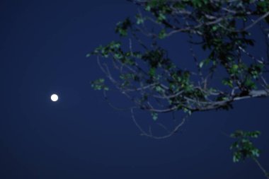 Gökyüzünde ay battı