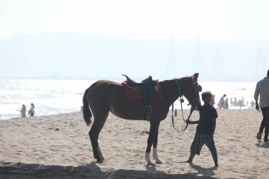 Vizag Hindistan 'da At Biniciliği