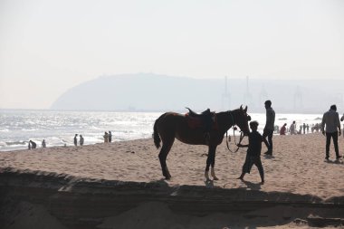 Vizag Hindistan 'da At Biniciliği