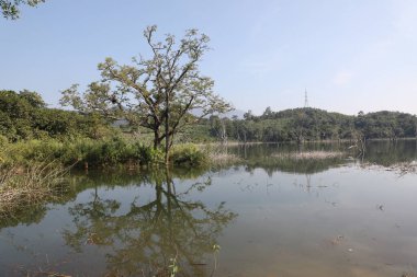 Kırsal Köy Bölgesi Hindistan