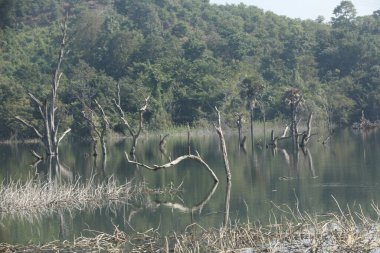 Kırsal Köy Bölgesi Hindistan