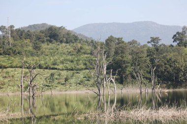 Kırsal Köy Bölgesi Hindistan