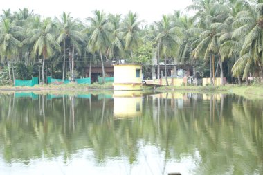 Kırsal Köy Bölgesi Hindistan