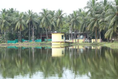 Kırsal Köy Bölgesi Hindistan