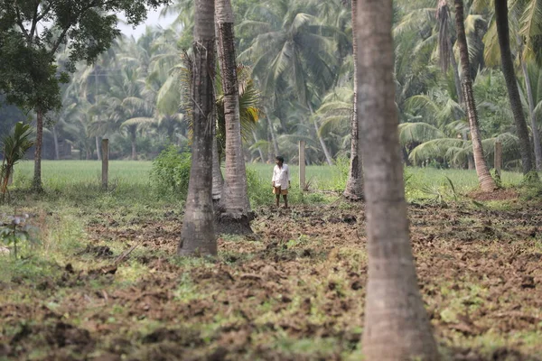 Kerala 'daki yaşlı adam.