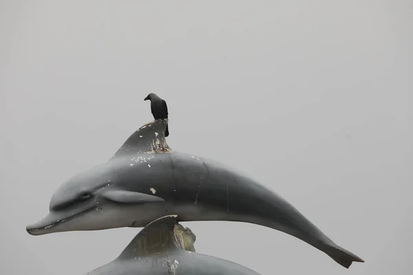 Crows Sculpture — Stock Photo, Image