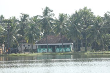 Kırsal bölgedeki Su Havuzu