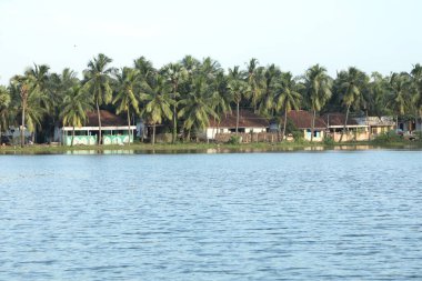 Kırsal bölgedeki Su Havuzu