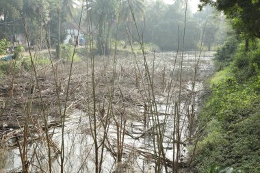 Tarlalarda Çalışan Çiftçi