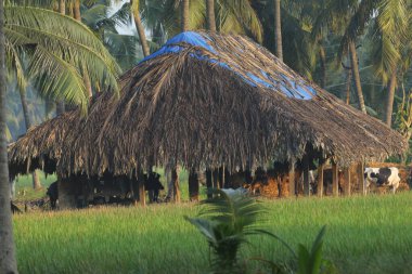 Kırsal alanda bir kulübe.
