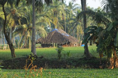 Kırsal alanda bir kulübe.