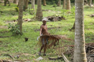 Tarlalarda Çalışan Çiftçi