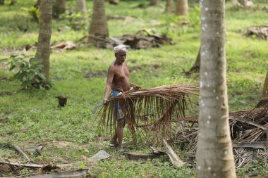 Tarlalarda Çalışan Çiftçi