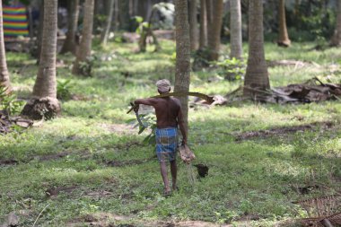 Tarlalarda Çalışan Çiftçi