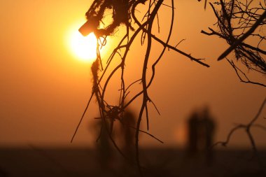 Gün batımındaki insanların silueti