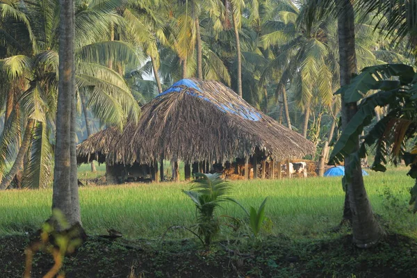 Hut Fields Perdesaan — Stok Foto