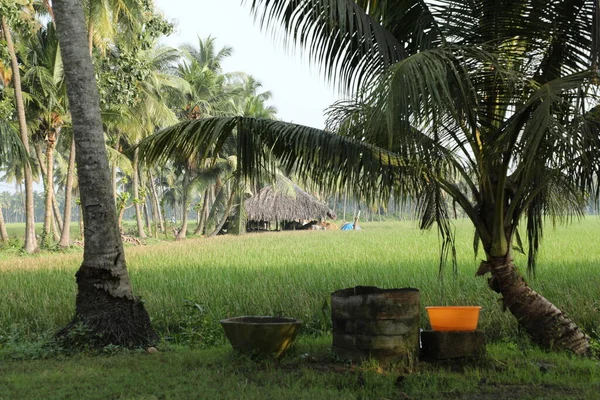 Cabana Uma Área Rural Campos — Fotografia de Stock