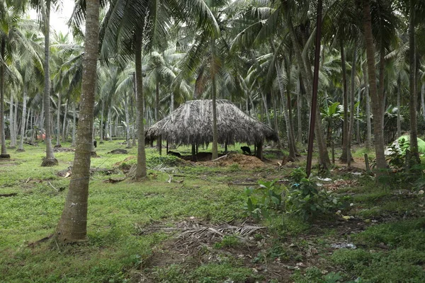 Hut Fields Rural Area — Stock Photo, Image