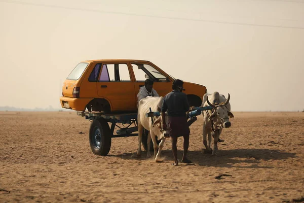 Accident Car Bull Cart Water Dam — Stok fotoğraf