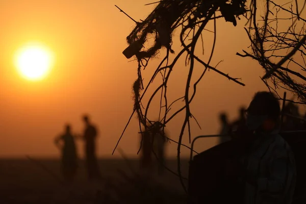 Radici Tramonto — Foto Stock