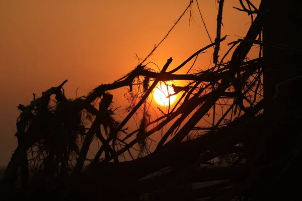 Silhouette Von Menschen Sonnenuntergang — Stockfoto