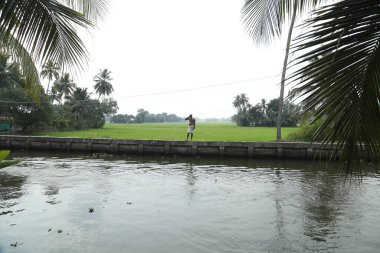 Yeşil alanlar Kerala Hindistan