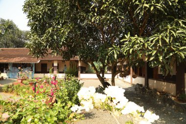 Turist Konumu Munnar Kerala Hindistan