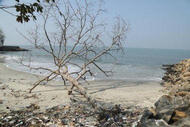 Denizde su dalgaları