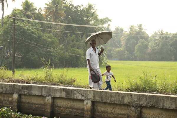 Зеленый Фокс Керала Индия