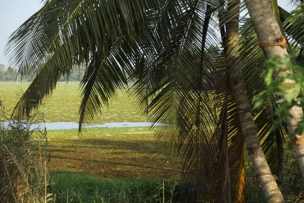 Τουριστική Τοποθεσία Munnar Kerala Ινδία — Φωτογραφία Αρχείου