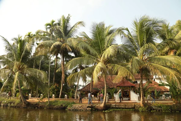 Turistické Umístění Munnar Kerala Indie — Stock fotografie