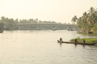 Turist Konumu Munnar Kerala Hindistan