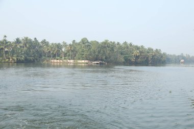 Turist Konumu Munnar Kerala Hindistan