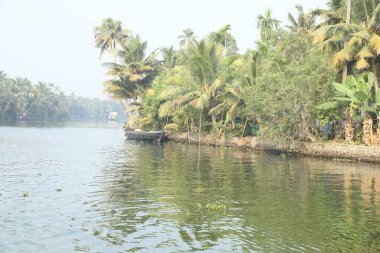 Turist Konumu Munnar Kerala Hindistan