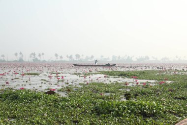 Lotus Gölü 'ndeki bir teknede Aşıkların Silueti
