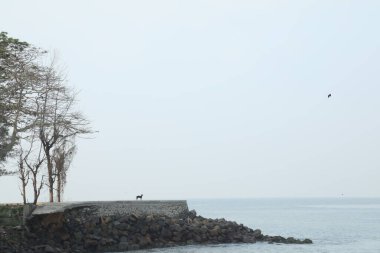 Denizde su dalgaları