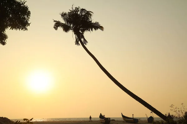 Man Silhouette Beach — Stock Photo, Image