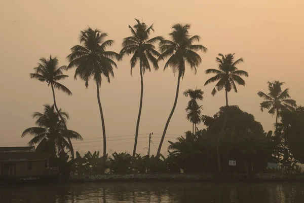 Munnar Kerala印度 — 图库照片