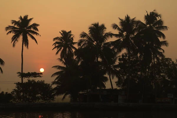 Lieu Touristique Munnar Kerala Inde — Photo