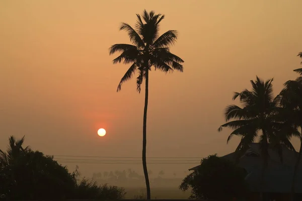 Turistické Umístění Munnar Kerala Indie — Stock fotografie