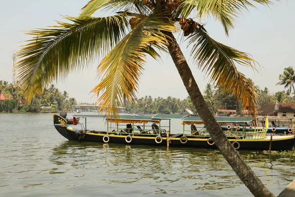 Turistické Umístění Munnar Kerala Indie — Stock fotografie