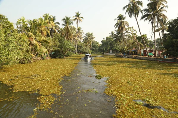 Località Turistica Munnar Kerala India — Foto Stock