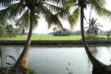 Kerala Hindistan Turizm Konumu