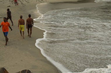 Turist Konumu Munnar Kerala Hindistan